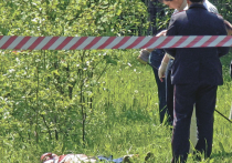 Жителя Подмосковья забили до смерти преступники, а потом обезглавили во время следствия