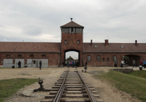 Минобороны РФ рассекретило документы об освобождении Красной армией узников Освенцима