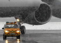 На пути самолета Falcon во Внуково находились две снегоуборочные машины 