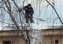 В Москве с крыши МФЦ во время чистки снега упал рабочий