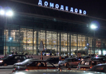 Самоубийство в Домодедово: пассажир прыгнул с лестницы в зоне вылета 