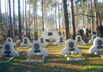 В Монино развернулись «боевые действия» за военное кладбище