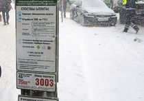 В Москве посчитали  все парковки