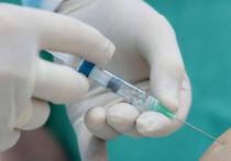 Западные медики планируют получить вакцину от вируса Эбола к 2015 году