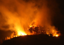 МЧС России: в Брянской области выявлено два новых очага природных пожаров