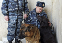 Подробности визита Кобзона в Донецк: его будут охранять кинологи с собаками