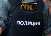 Снайпер ОМОН и сержант полиции задержаны за похищение человека в Подмосковье