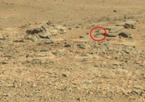 Есть ли смерть на Марсе? На красной планете нашли могилу с крестом