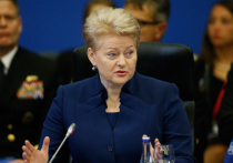 Глава Литвы не видит разницы между Путиным и террористами из "Исламского государства"