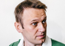 Навального все же просят проверить: Кремль финансировал оппозиционеров из бюджета?