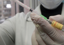 Верблюжий грипп атакует: первая жертва в Азии