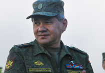 Шойгу предложил открыть в Москве для военных клинику китайской медицины