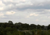 СМИ: американские самолеты доставили на Украину две установки залпового огня