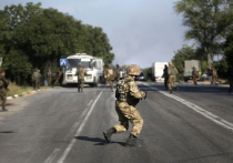 ДНР сомневается в полном прекращении огня силовиками: "Порошенко не контролирует карательные батальоны"