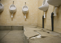 Столичные сортиры дурно пахнут: как в Москве устроен туалетный бизнес