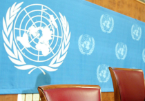 Украина попросит Совбез и Генассамблею исключить Россию из ООН
