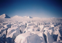 Минобороны сформирует в Арктике единую систему контроля обстановки