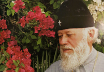 Кто возглавит Украинскую Церковь после смерти митрополита Владимира