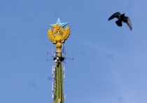 Подозреваемые в установке украинского флага на высотку отправлены под домашний арест