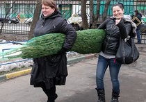 Мэрия Москвы о крахе рубля:  "Новый год никто не отменял, не надо кошмарить себя!"