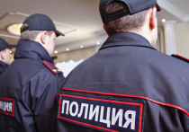 Для туристов в Москве создадут свою полицию