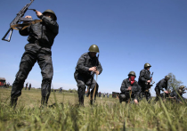 Эксперты о меморандуме Рады: слишком поздно для отвода войск с востока Украины