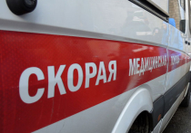 В Москве девушка умерла от тропической лихорадки