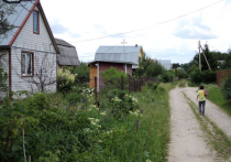 Многодетным москвичам хотят раздать земельные участки 