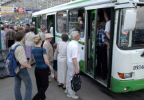 Водителей автобусов предлагают проверять на устойчивость к стрессам