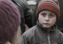 Канны-2014: от Чечни до Майдана