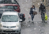 Синоптики пообещали Центральной России снег и бабье лето
