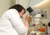 Вероника Скворцова: «Российские медики разработали экспериментальную вакцину против лихорадки Эбола»