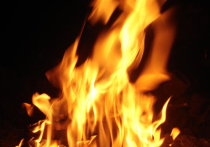В Подмосковье 60-летняя женщина сожгла себя, оставшись без квартиры 