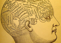 Американские ученые нашли в мозгу механизм включения и выключения сознания