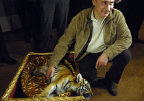 Путинского питомца - тигра Кузю - обвиняют в убийстве пяти кур в Китае