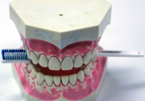 Ученые научили зубы восстанавливаться самостоятельно
