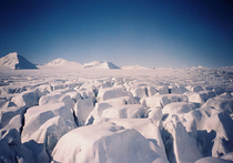 Полюсненаш: Дания и Гренландия предъявили претензии на Арктику