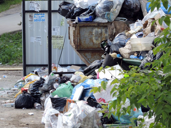 Областное правительство разработало новый план борьбы с мусором вдоль трасс