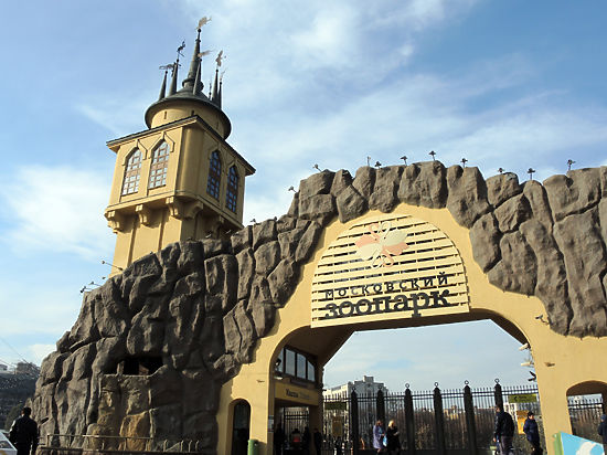 За 3,5 года вход в Московский зоопарк подорожал почти в 3 раза
