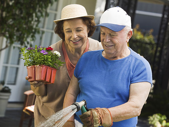 Весна – традиционно «горячая» пора у дачников и огородников: с начала таяния снегов многие горожане запасаются рассадой и садовым инвентарем и с нетерпением предвкушают открытие дачного сезона