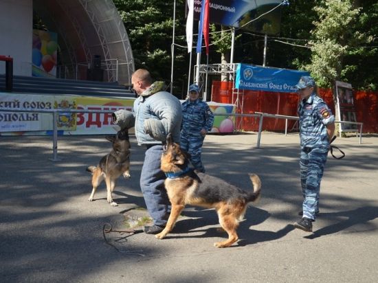 В преддверии Дня знаний в Ставрополе состоялась пропагандистская акция «Фестиваль здоровья»