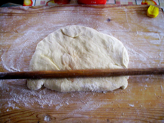 Птица летала по квартире и угодила в опару для пирожков, приготовленную хозяйкой