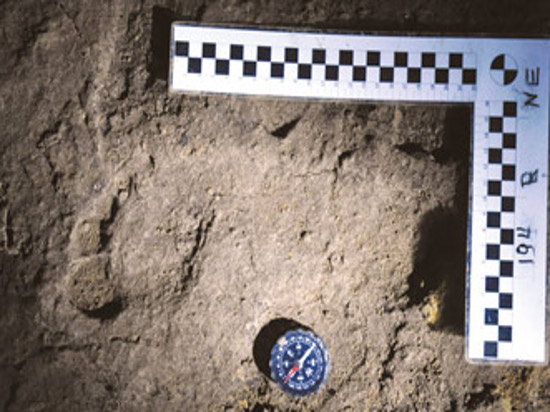 Отпечатки ног шести или семи представителей человека современного вида получили новую радиоуглеродную дату – около 36,5 тысячи лет назад