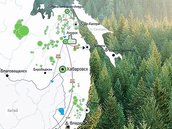 Проект освоения лесов хабаровского края