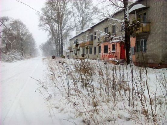 Замерзающий мятежный остров на Амуре не сдается и под снегом. Как в блокадном Ленинграде