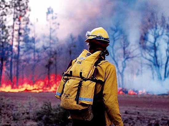 Прокуратура выявила 734 нарушения в сфере охраны красноярских лесов от огня