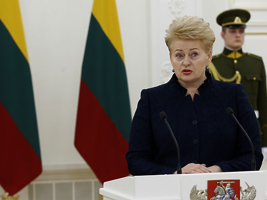 Соседи стран Балтии "стали мало прогнозируемыми", беспокоятся в Вильнюсе
