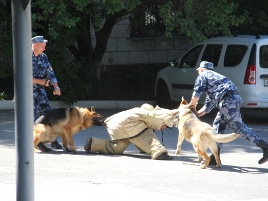 Служебные псы волгоградского УФСИН помогают искать боеприпасы и задерживать преступников