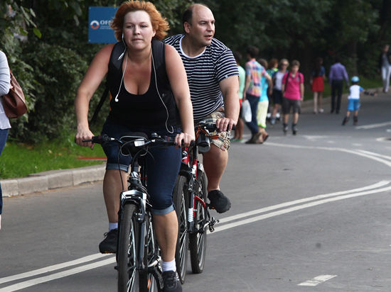 Велосипедные маршруты и места для велопроката определили на днях для подмосковных городов местные власти