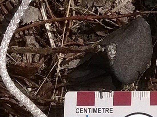 Уральские ученые нашли осколки метеорита, пролетавшего над Кольским полуостровом